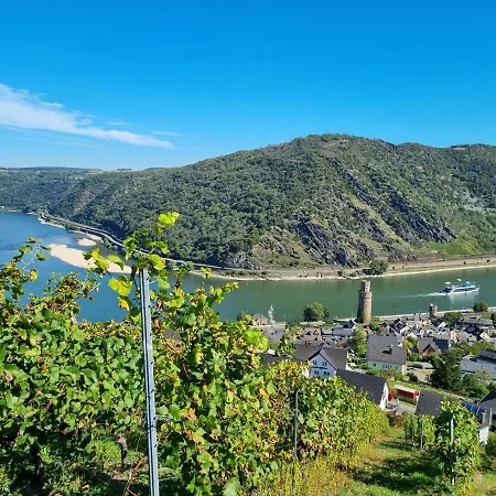 Apartment Fewo Loreley *